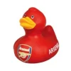 Badanka Arsenal