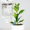 Bevattningssystem - Plant Life Support