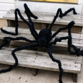 Gigantisk svart spindel