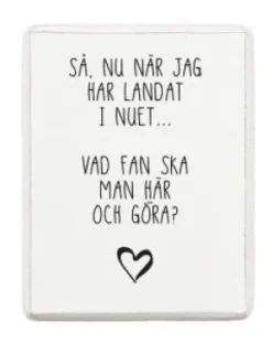 Kylskåpsmagnet - Nu när jag landat i nuet...