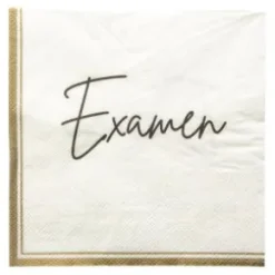 Servetter 16-pack - Examen