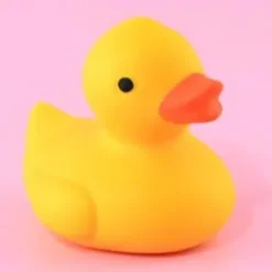 Squeeze Duck